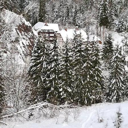 Waldblick Апартаменты Бондорф (Шварцвальд)