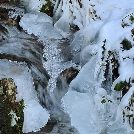 Апартаменты Waldblick *