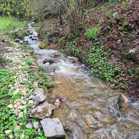 Apartment Waldblick Bonndorf im Schwarzwald