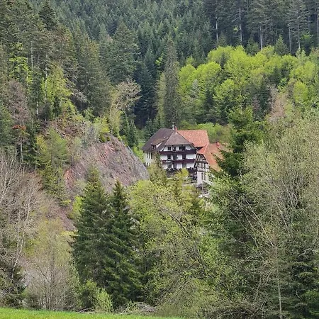 Апартаменты Waldblick Бондорф (Шварцвальд)
