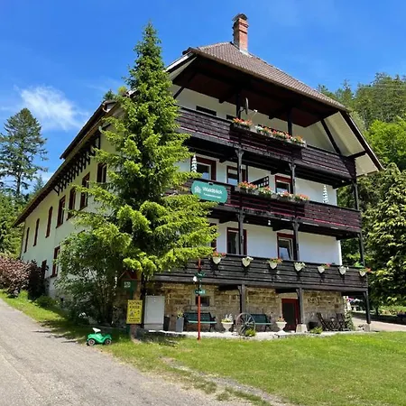 Waldblick Apartment *