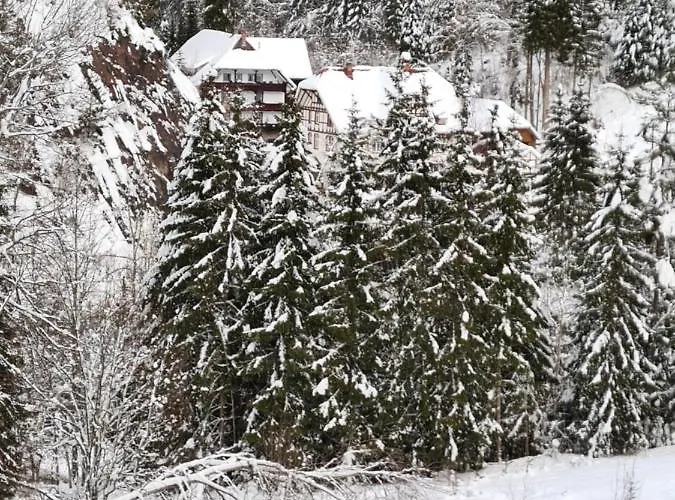 Waldblick Apartament Bonndorf im Schwarzwald