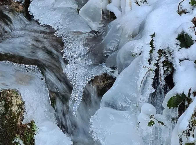 Apartament Waldblick *