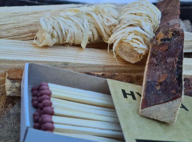 Waldblick Apartament