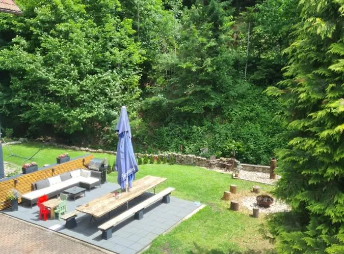 Waldblick Apartament